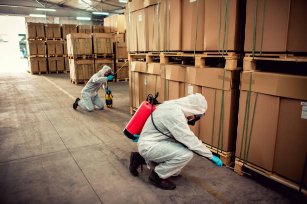 Best Pest Removal Services  in Resaca, GA
