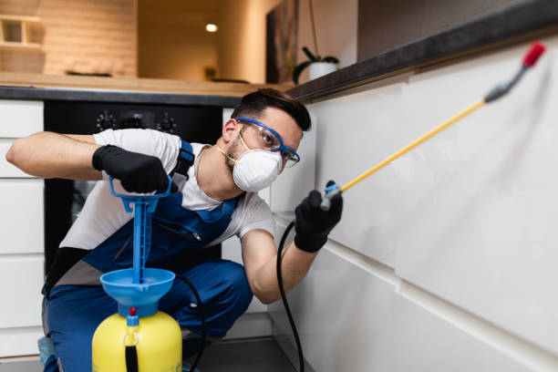 Best Rat Extermination Near Me  in Resaca, GA