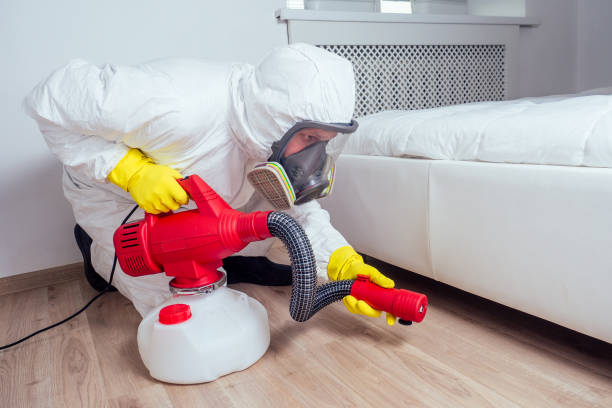 Best Wasp Removal Services  in Resaca, GA