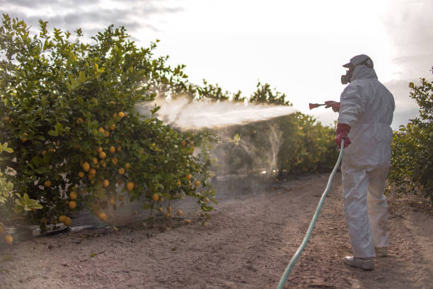 Best Pest Control Near Me  in Resaca, GA