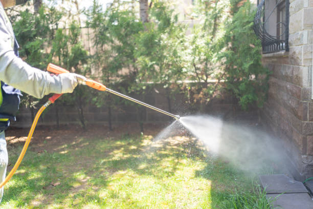 Best Bed Bug Extermination  in Resaca, GA