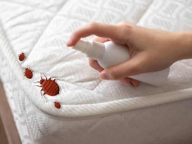 Resaca, GA Pest Control Company