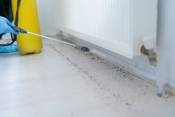 Best Exterminator Services  in Resaca, GA