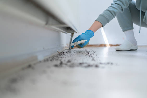 Best Wildlife Control Services  in Resaca, GA